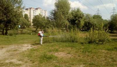 Парки Киева обрабатывают от клещей