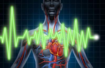 Ученые рассказали, что происходит с организмом после остановки сердца