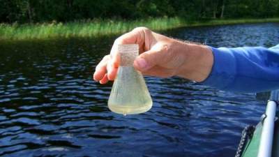 В пяти киевских водоемах обнаружили опасные бактерии