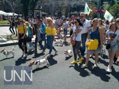 В Киеве прошел необычный собачий парад
