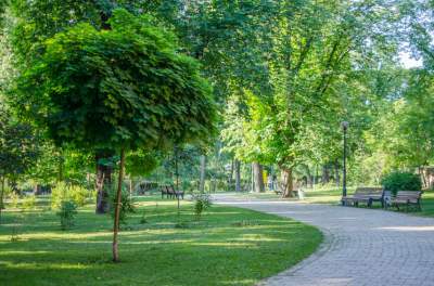 В Киеве появится новый парк и скверы: адреса