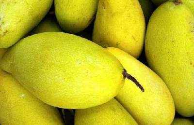 Ученые обнаружили новое полезное свойство манго
