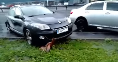 В Киеве видели необычного «героя парковки»