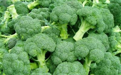 Медики рассказали, какие овощи нужно употреблять, чтобы избежать рака