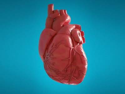 Ученые открыли вещество с необычным влиянием на сердце