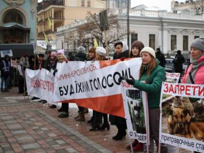 В Киеве у стен Рады собрались зоозащитники