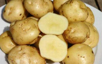 Врачи объяснили, как картофель может повлиять на уровень сахара в крови