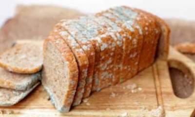 Медики предупредили об опасности хлеба с плесенью