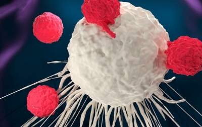 Найден способ заставить раковые клетки убивать самих себя