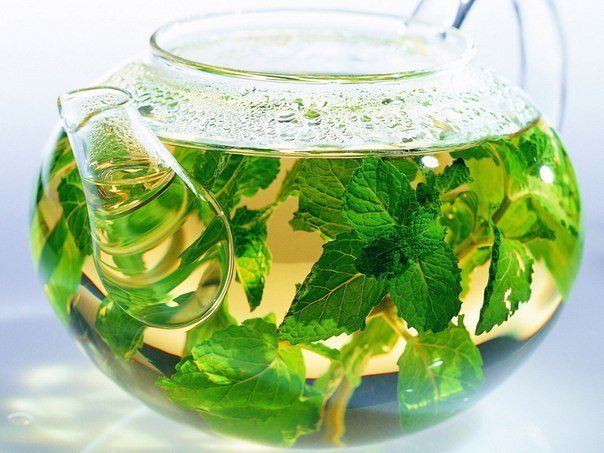  Травяные, цветочные и ягодные чаи – когда их пить и чем они полезны?